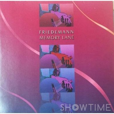 Виниловая пластинка LP Friedemann - Memory Lane 528261 фото