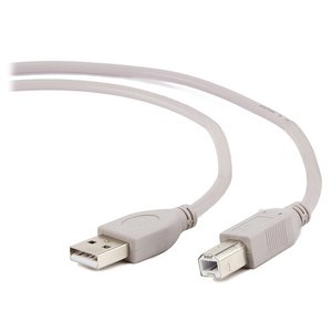 Адаптер Apple USB CM/AF (MJ1M2ZM/A) 469024 фото