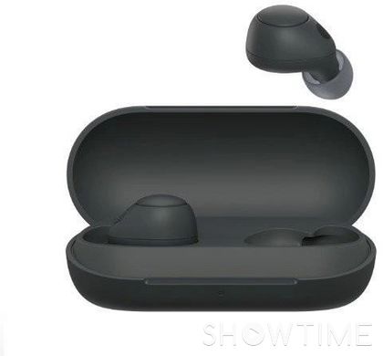 Sony WF-C700N Black (WFC700NB.CE7) — Беспроводные вакуумные Bluetooth наушники 1-009477 фото