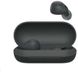Sony WF-C700N Black (WFC700NB.CE7) — Беспроводные вакуумные Bluetooth наушники 1-009477 фото 2