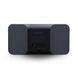 Мультирум Bluesound PULSE MINI 2i Wireless Streaming Speaker Black 527313 фото 4
