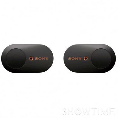 Навушники Sony WF-1000XM3 Black 531103 фото