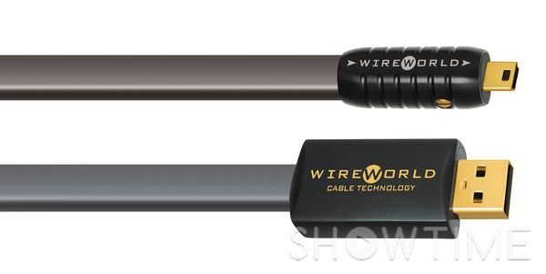 Wireworld Silver Starlight 7 USB 2.0 Audio 0.5m A to B 4843 фото