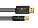 Wireworld Silver Starlight 7 USB 2.0 Audio 0.5m A to mini B 4849 фото 5