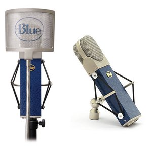 Blue Microphones BLUEBERRY 539024 фото