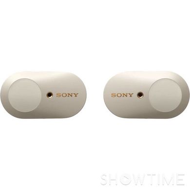 Sony WF-1000XM3 Silver (WF1000XM3S.E) 532410 фото