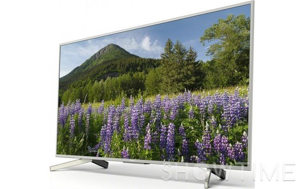 Телевізор 49" Sony KD49XF7077SR2, 4K UltraHD, SmartTV, Wi-Fi 444816 фото