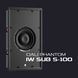 Dali Phantom IW SUB S-100 &mdash; Вбудований сабвуфер 500 Вт 1-008658 фото 4
