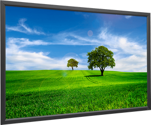 Екран проекційний натяжний на рамі Projecta HomeScreen Deluxe MW 10600095 (166x256 см, 16:9, 111") 421512 фото