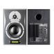 Активний монітор 200 Вт Dynaudio AIR 6 Master A + D 534678 фото 6