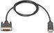 Digitus AK-340301-020-S — кабель DisplayPort-DVI-D (AM/AM), 2 м 1-005071 фото 2