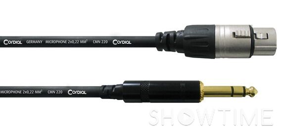 Мікрофон TASCAM TM-82 + кабель CORDIAL CFM 6 FV 1-002400 фото