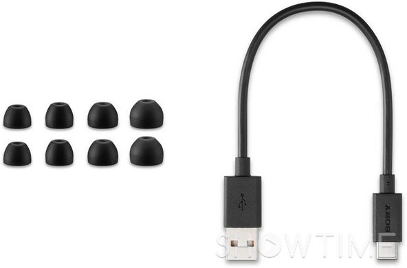 Sony Inzone Buds (WFG700NB.CE7) — Беспроводные вакуумные Bluetooth наушники 1-009434 фото