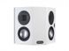 Настенная акустика 100 Вт Satin White Monitor Audio Gold FX Satin White (5G) 527547 фото 1