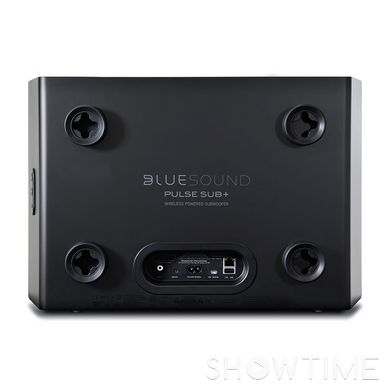 Бездротовий активний сабвуфер 100 Вт чорний Bluesound PULSE SUB Wireless Powered Subwoofer Black 527317 фото