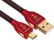 USB-A 2.0 на microUSB кабель AudioQuest USB Cinnamon Micro 0.75m 436684 фото 2