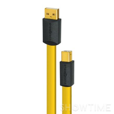 Wireworld Chroma USB 2.0 Audio A to B 0.3m 421019 фото