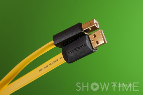 Wireworld Chroma USB 2.0 Audio A to B 0.3m 421019 фото