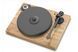 Pro-Ject 2 Xperience Classic (без картриджа) Olive 439821 фото