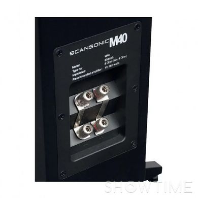 Scansonic M40 Black — Підлогова акустика 10-160 Вт 1-006399 фото