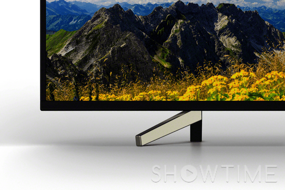 Телевізор 49" Sony KD49XF7596BR, 4K UltraHD, SmartTV, Wi-Fi 444818 фото