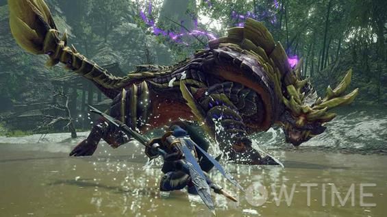 Картридж для Nintendo Switch Monster Hunter Rise Sony 045496427146 1-006753 фото