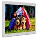 Планшет LENOVO Tab P10 LTE 4/64GB Sparkling White (ZA450013UA) 453785 фото 1