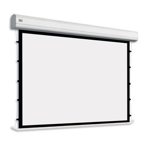 Моторизированный экран c боковыми растяжками Adeo Professional Tensio, поверхность Reference White (258x145, 16:9, отступ сверху макс. 45cm) 444191 фото