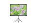 Проекционный экран на треноге AV Screen Matte White 3V084MTV (162х122, 4: 3, 84 ") 437437 фото 2