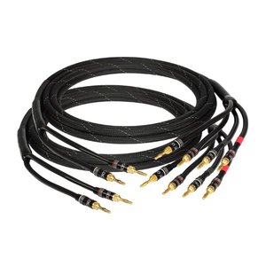 Міжблочний кабель Goldkabel edition ORCHESTRA Bi-Amping 2x2,0м 43051011 543179 фото