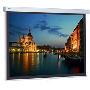 Экран Projecta ProScreen MW 10201069 (179x280 см, 125 ") 434344 фото