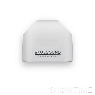 Всепогодная акустика Bluesound BSP125 White 1-000065 фото