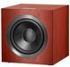 Bowers & Wilkins DB4S Rosenut 437815 фото