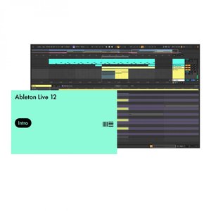 Ableton Live 12 Intro — ПО для создания музыки 1-009254 фото