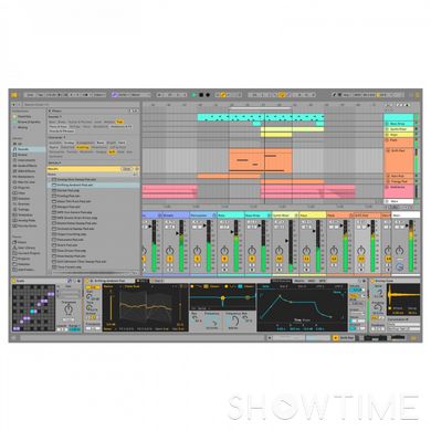 Ableton Live 12 Intro — ПО для создания музыки 1-009254 фото