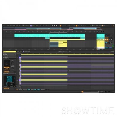 Ableton Live 12 Intro — Програмне забезпечення для створення музики 1-009254 фото