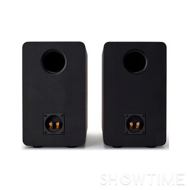 Aiwa SP-A100 Black (SPA100) — Полична акустика 2x70 Вт 1-008583 фото