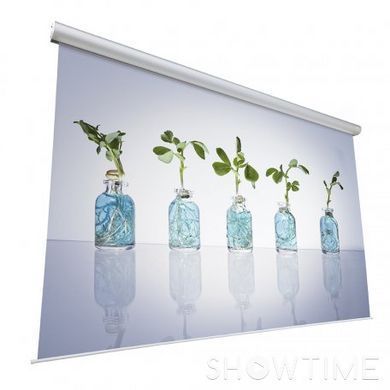 Моторизированная экран Projecta Master Electrol MW 10130765 (250x400 см, 16:10, 186 ") 421487 фото