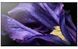 Телевізор 55" Sony KD55AF9BR2, 4K UltraHD, OLED, SmartTV, Wi-Fi 444819 фото 4