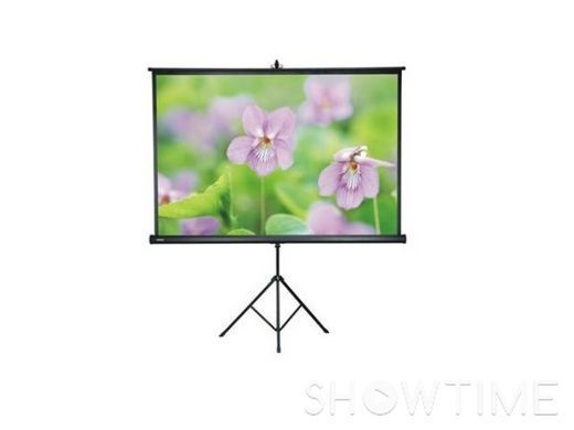 Проекционный экран на треноге AV Screen Matte White 3V100MTV (195x146, 4: 3, 100 ") 437439 фото