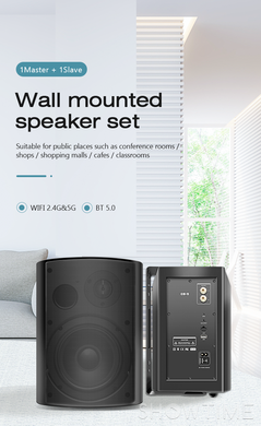 Cloudyx CS-5 Wall mounted speaker — Настінні динаміки, 2х100 Вт, Wi-Fi, BT, Lan AUX, USB, DLNA, AirPlay, чорні 1-005935 фото