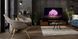LG OLED48C14LB &mdash; телевизор 48" OLED 4K 120Hz Smart WebOS Black 1-005385 фото 12