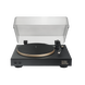 JBL Spinner BT Black/Gold (JBLSPINNERBTGLDEU) &mdash; Програвач вінілових платівок 1-008188 фото