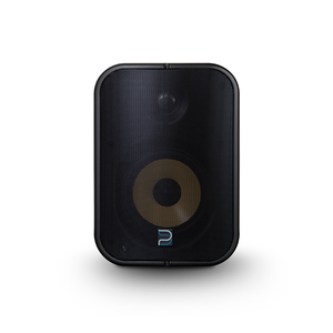 Всепогодная акустика Bluesound SP500 Professional 5.25" PoE Speaker Black 1-000076 фото