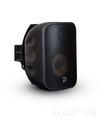 Всепогодная акустика Bluesound SP500 Professional 5.25" PoE Speaker Black 1-000076 фото
