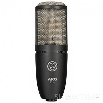 AKG 3101H00420 — мікрофон P220 1-003451 фото