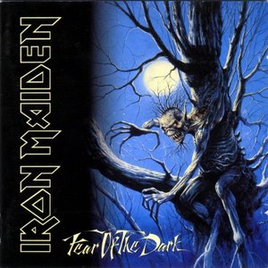 Виниловый диск Iron Maiden: Fear OfThe Dark /2LP 543679 фото