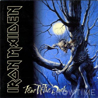 Вініловий диск Iron Maiden: Fear OfThe Dark / 2LP 543679 фото