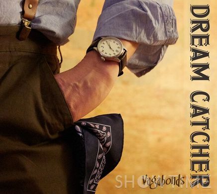 Вінілова пластинка LP Dream Catcher - Vagabonds 528256 фото