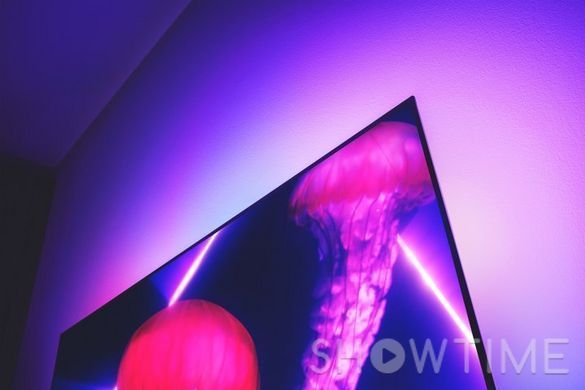 Philips 55OLED807/12 &mdash; ТБ 55", UHD, OLED, Smart TV, HDR, Ambilight, Android TV, 120 Гц, 70 Вт, 16 Гб, Eth, Wi-Fi, Bluetooth, Silver 1-007283 фото